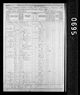 1870 United States Federal Census
