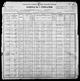 1900 United States Federal Census