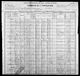 1900 United States Federal Census
