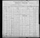 1900 United States Federal Census