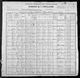 1900 United States Federal Census