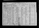 1920 United States Federal Census
