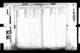 New York City, Marriage Indexes, 1907-1995