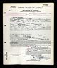 New York, State and Federal Naturalization Records, 1794-1940