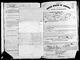 New York, State and Federal Naturalization Records, 1794-1940