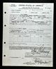 Tennessee, Naturalization Records, 1888-1992